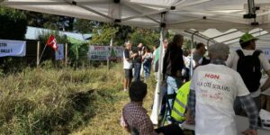 Camping Triangle de Gonesse : des opposants continuent de dénoncer le projet d’artificialisation des terres agricoles